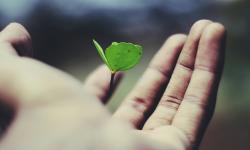 Featured image of post Life